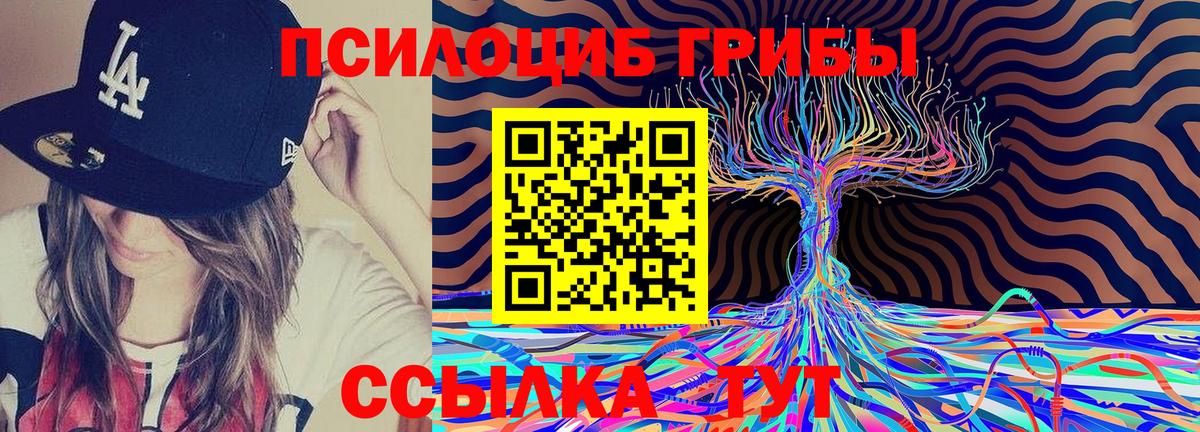 Псилоцибиновые грибы Cubensis Наро-Фоминск