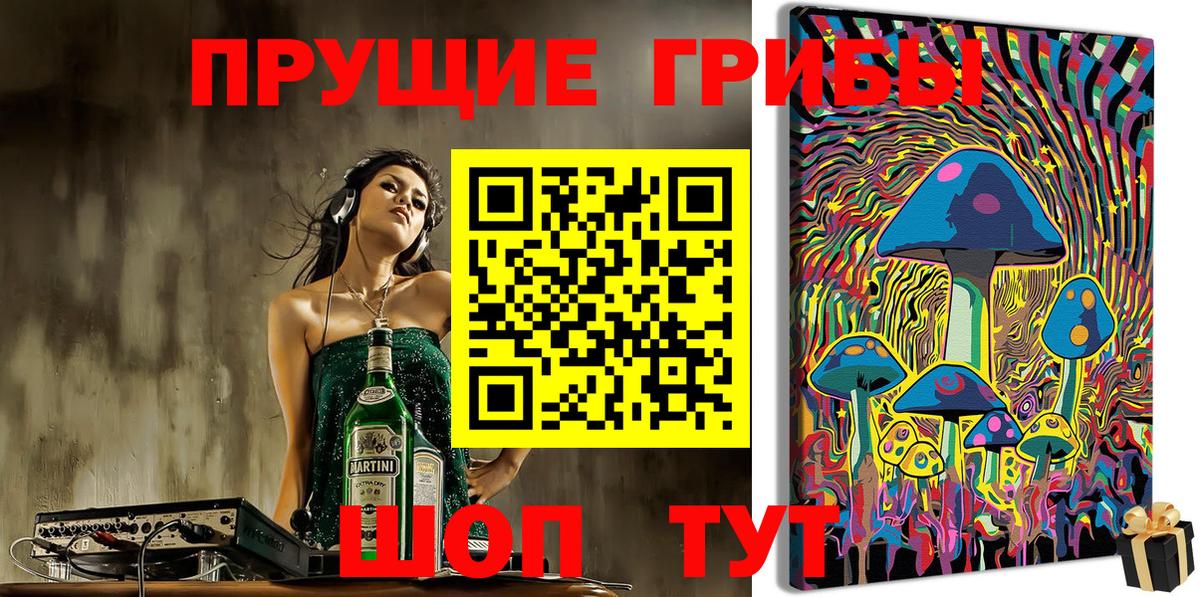 Псилоцибиновые грибы GOLDEN TEACHER  Вход с VPN  Псилоцибиновые грибы MAGIC MUSHROOMS  Наро-Фоминск 